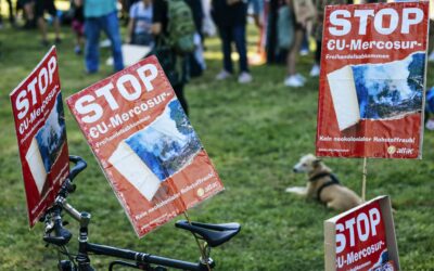 Understanding the Mercosur and European Union Agreement: Implications for Environmental Policies and International Contracts